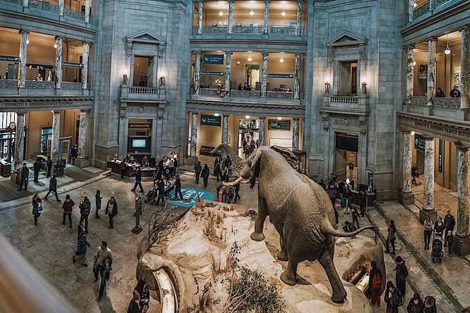 Smithsonian Museum of Natural History - Exclusive Guided Tour - Tour Details