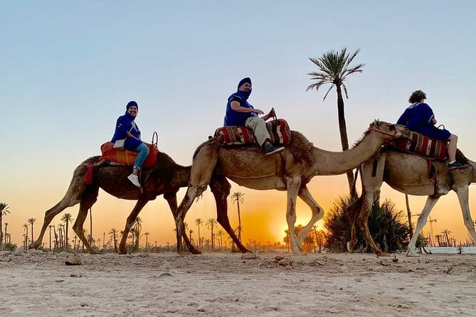 Sunset Camel Ride in the Palm Grove of Marrakech