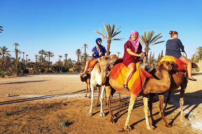 Sunset Camel Ride Tour in Marrakech Palm Grove - Discovering Marrakechs Green Oasis