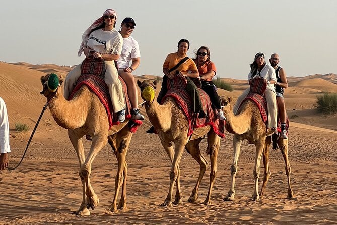 Sunset Safari With BBQ Dune Drive Camel Ride & Dune Buggy Option