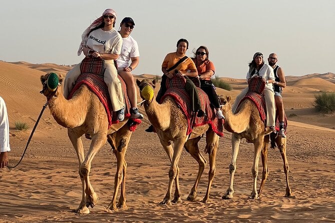 Sunset Safari With BBQ Dune Drive Camel Ride & Dune Buggy Option - Overview of Sunset Safari