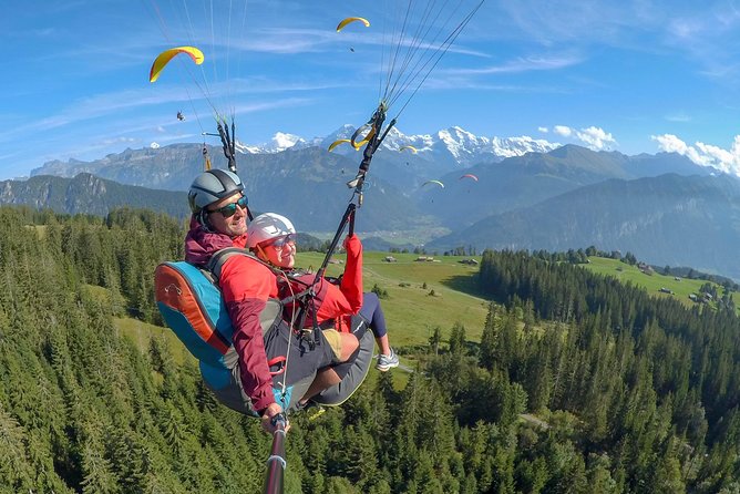 Tandem Paragliding Experience From Interlaken - Soaring Over the Landscape