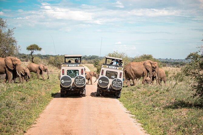 Tanzania Simba Safari – 5 Days