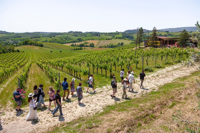 Tuscany Day Trip From Florence: Siena, San Gimignano, Pisa and Lunch at a Winery - Tour Overview