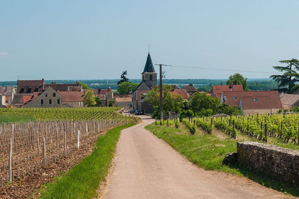 Vosne-Romanée: Private Vineyards Walking Tour With Tasting - Vosne-Romanée: A Prestigious Appellation