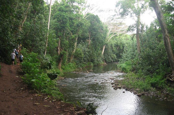 Wailua River and Secret Falls Kayak and Hiking Tour on Kauai - Meeting and Pickup