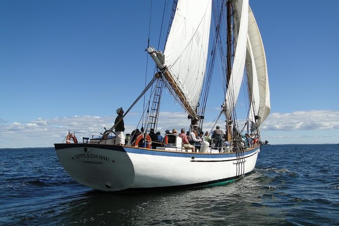 Windjammer Classic Day Sail From Camden, Maine - Overview of the Appledore II