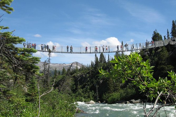 Yukon Suspension Bridge and Summit Tour - Included in the Tour