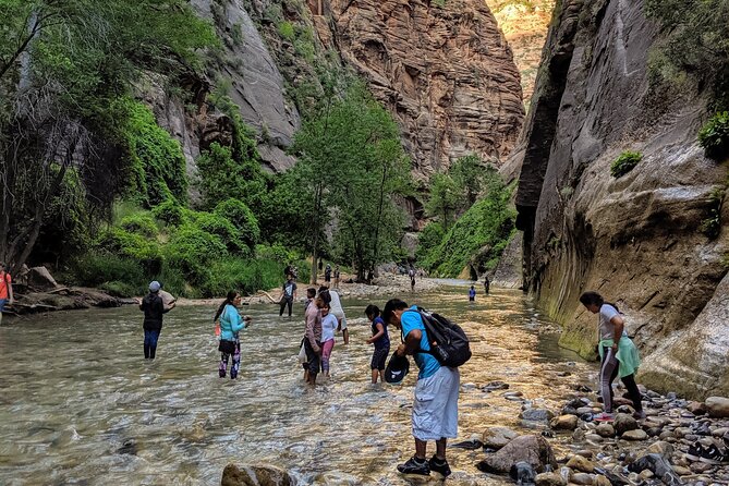 Zion National Park Small Group Tour From Las Vegas - Tour Highlights