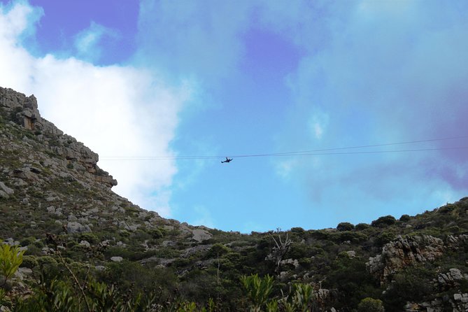Zipline Cape Town - From Foot of Table Mountain Reserve - Inclusions
