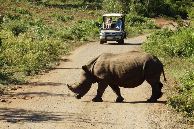 2 Day 4x4 Safaris Tour With South African Wildlife From Cape Town - Tour Overview