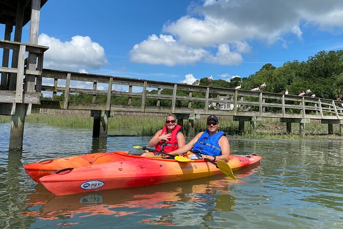 2-Hour Hilton Head Guided Kayak Nature Tour - Just The Basics