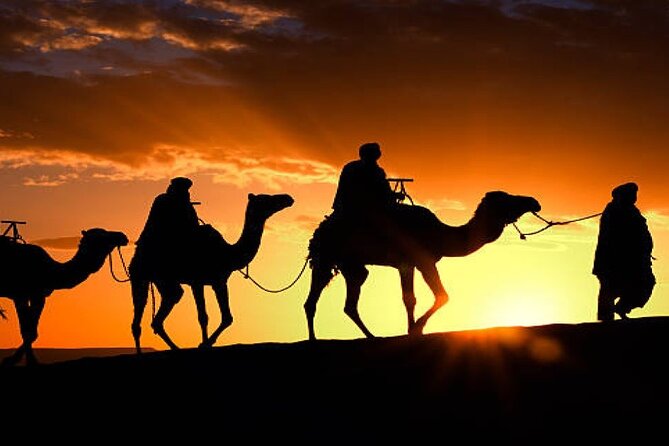 2 Nights in Luxury Camp & Camel Trekking in Merzouga Desert - Key Points
