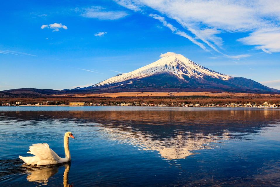 1-Day Trip: Mt Fuji + Kawaguchi Lake Area - Pricing and Availability
