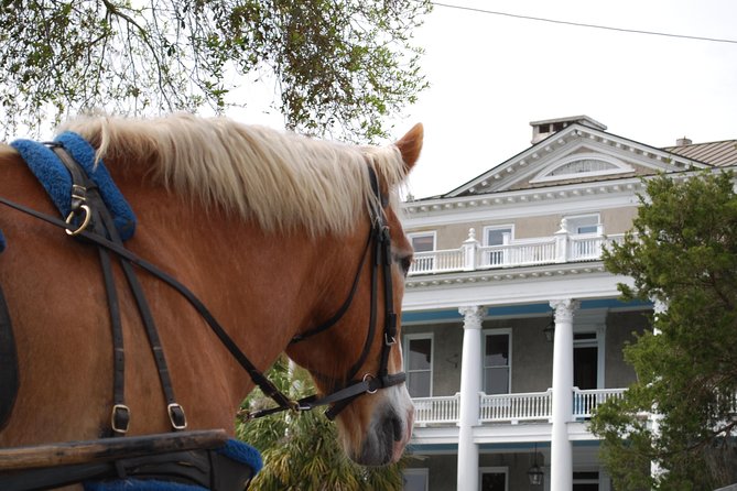 #1 Historical Horse Drawn Carriage Tour - Historical Significance of Beaufort