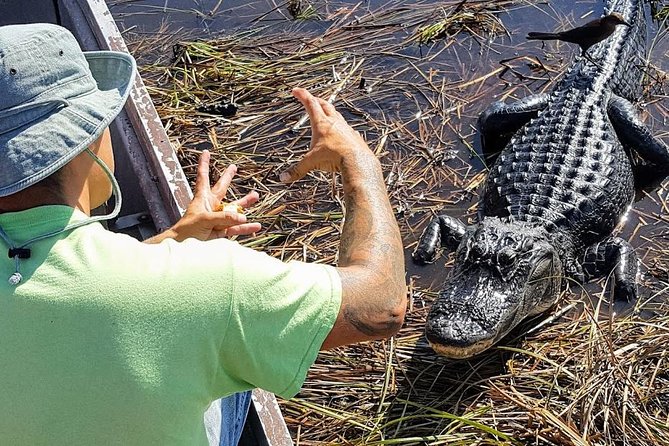 1-Hour Air Boat Ride and Nature Walk With Naturalist in Everglades National Park - Logistics Details