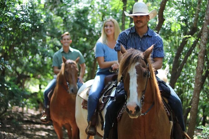 1 Hour Scenic Horseback Ride - Ride Inclusions