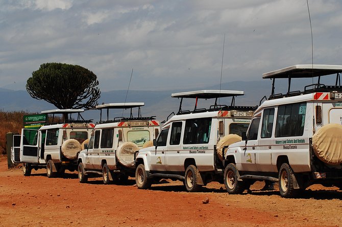 2 Day Serengeti Safari Experience From Mwanza - Safari Vehicle Amenities