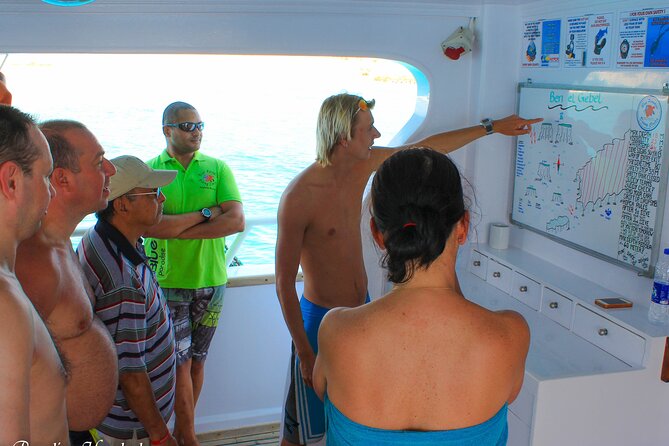 2 Dives From a Comfy Boat for Certified Divers - Comfortable Boat Dive Experience
