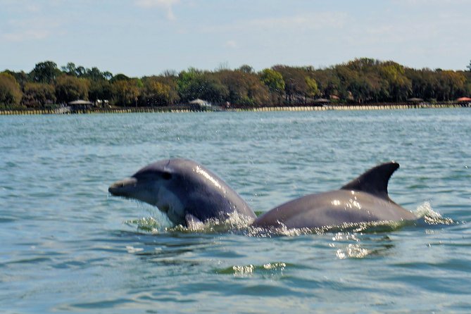 2-Hour Private Hilton Head Dolphin Watching Cruise - Included Amenities