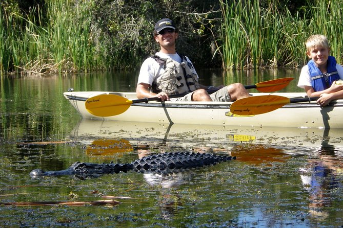 3 Hour Guided Mangrove Tunnel Kayak Eco Tour - Meeting Details