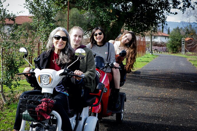 3-Hour Guided Wine Country Tour in Sonoma on Electric Trike - Transportation