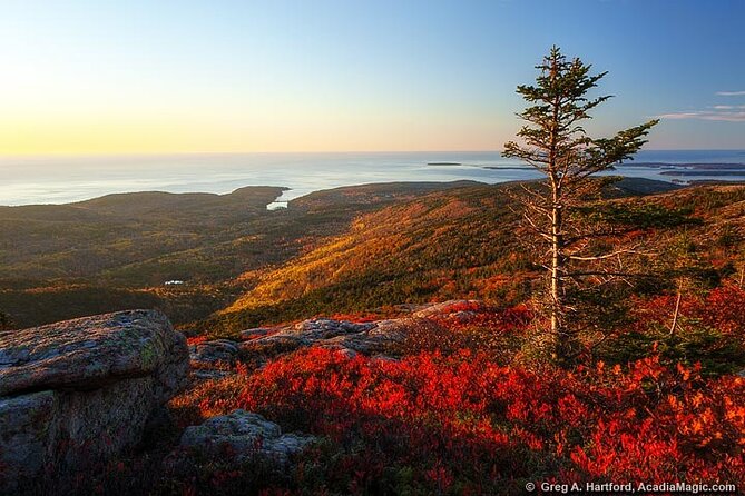 3 Hour Private Tour: Explore All the Top Spots of Acadia! - Climate-Controlled Private Transportation