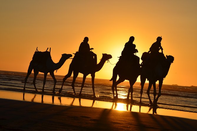 3 Hours Ride on Camel at Sunset - Camel Riding Experience