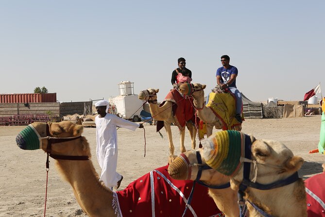 4 Hour Desert Safari, Camel Ride & Inland Sea Beach - Camel Ride Experience
