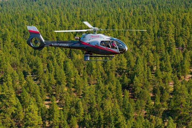 45-Minute Helicopter Flight Over the Grand Canyon From Tusayan, Arizona - Helicopter and Passenger Details