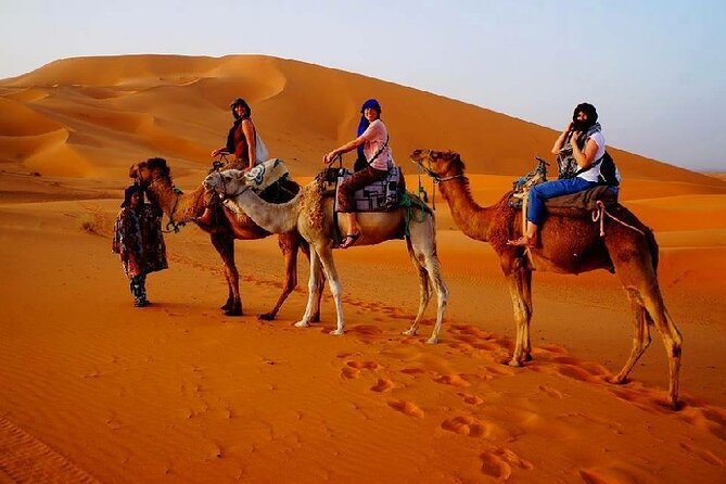 7 Days Luxury Desert Tour From Casablanca to Marrakech via Fez -Camel Trekking - Atlas Mountains Adventure