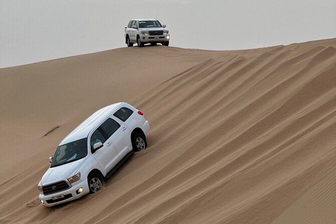Abu Dhabi Desert Safari With BBQ Dinner & Live Shows - Accessibility and Transportation