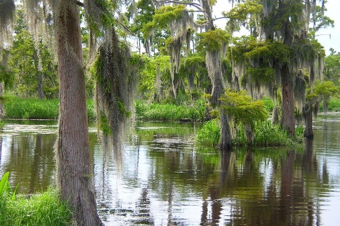 Airboat Swamp and Destrehan Plantation Tour From New Orleans - Pickup and Drop-off