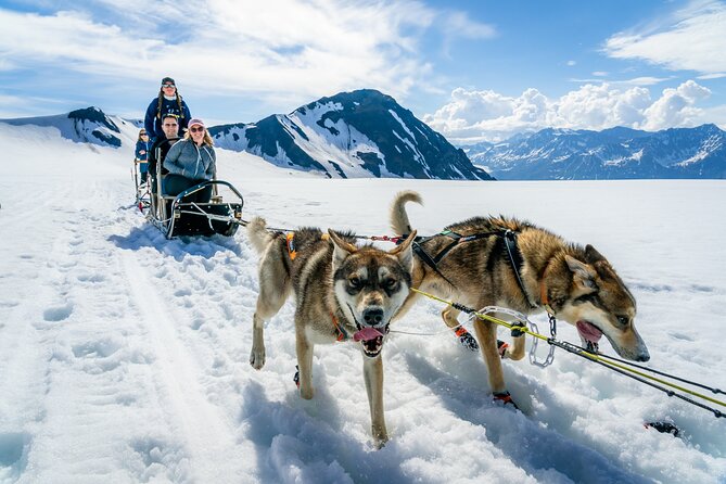 Alaska Helicopter and Glacier Dogsled Tour - ANCHORAGE AREA - Included Amenities