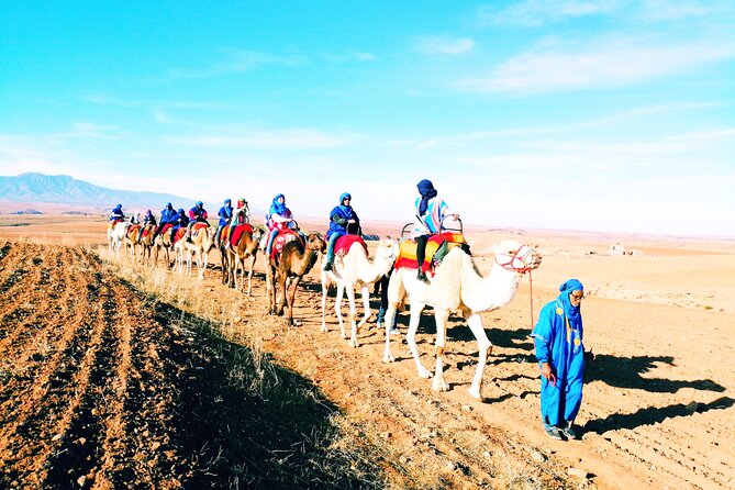 All-Inclusive Atlas Mountain 5 Valleys Day Trip & Camel Ride - Inclusions and Exclusions