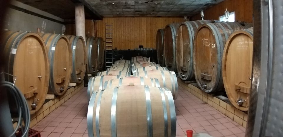 Alsace: Private Wine Tour - Tasting Exceptional Artisanal Wines