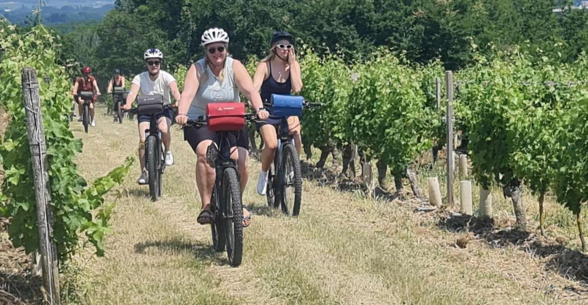 Angers: Cycling Tour With Wine Tastings! - Winery Visits and Wine Tastings