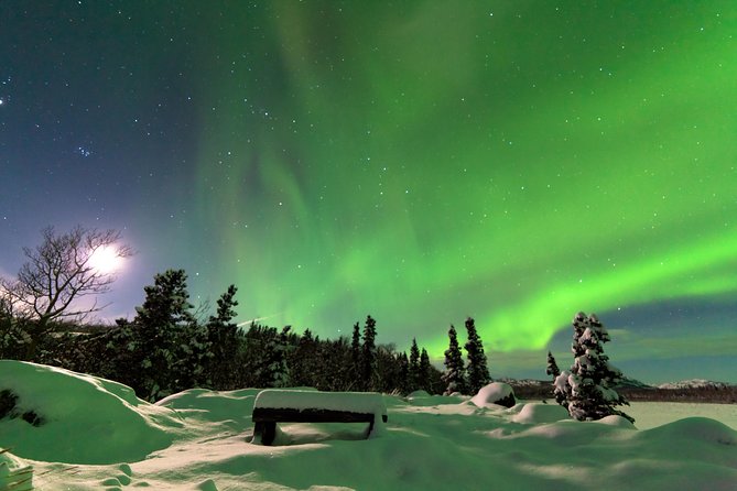 Arctic Circle and Northern Lights Tour From Fairbanks - Logistics and Details