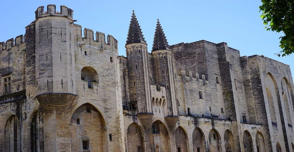 Avignon: Wine Tasting Tour - Exploring Provences Charm