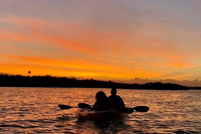 Bioluminescence Kayak Tour - Key Features