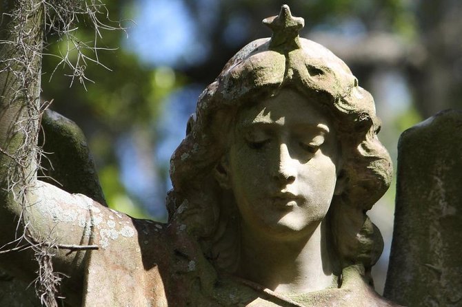 Bonaventure Cemetery Walking Tour With Transportation - Inclusions and Amenities