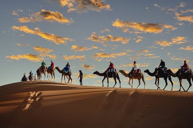 Camel Trekking & 1 Night in Sahara Desert Camp - Sandboarding in the Desert