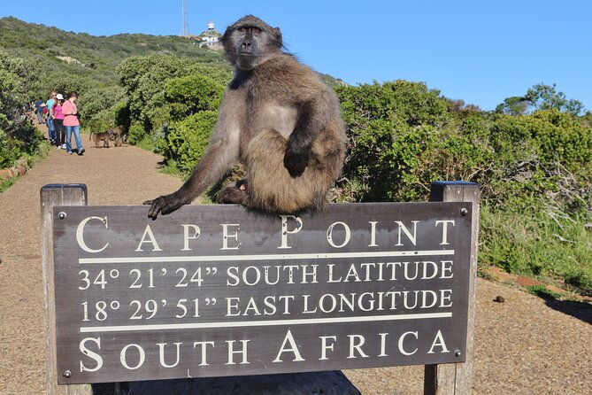 Cape of Good Hope & Penguins Small Group Tour From Cape Town - Entrance Fees