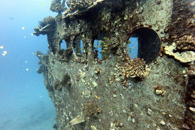 Certified Diver:2-Tank Deep Wreck and Shallow Reef Dives off Oahu - Rental Gear and Inclusions