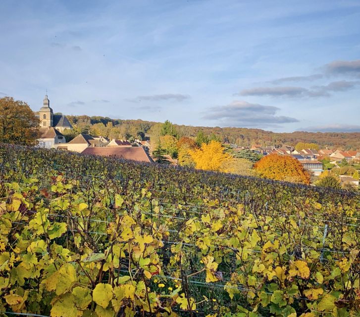 Champagne Tasting in Reims ! - Tour Duration and Overview