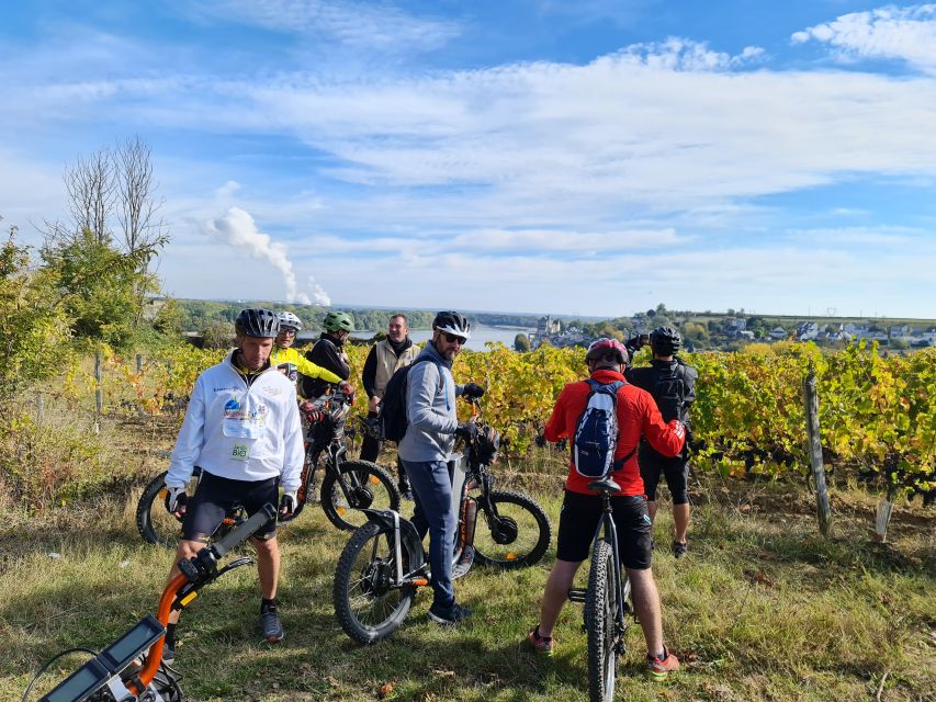 Chinon: Bicycle Tour of Saumur Wineries With Picnic Lunch - Cycling Through the Countryside