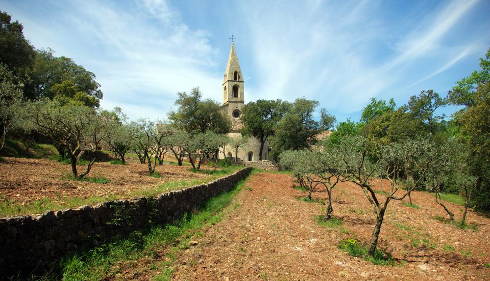 Churches of Provence & French Countryside Private Tour - Highlights