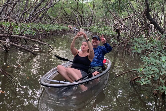 Clear Kayak Guided Tours in Naples - Gliding Through Mangrove Forests