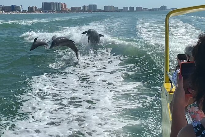 Clearwater Beach Dolphin Speedboat Adventure With Lunch & Transport From Orlando - Speedboat Tour Details