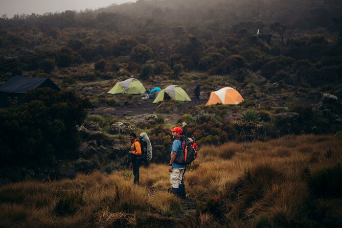 Climbing Kilimanjaro Through 7 Days Machame Route - Meeting and Pickup Details